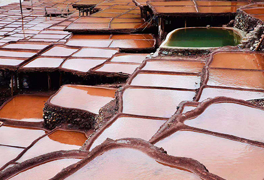 西藏芒康林业局脱贫攻坚灌溉给水项目